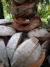 Charger l'image dans la galerie, Image 03: Tiki Solaire Tiki Monoi Ao 120Ml